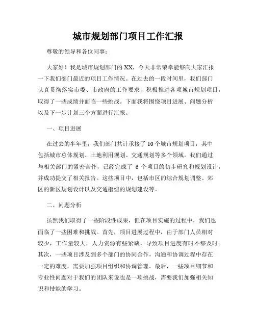 城市规划部门项目工作汇报