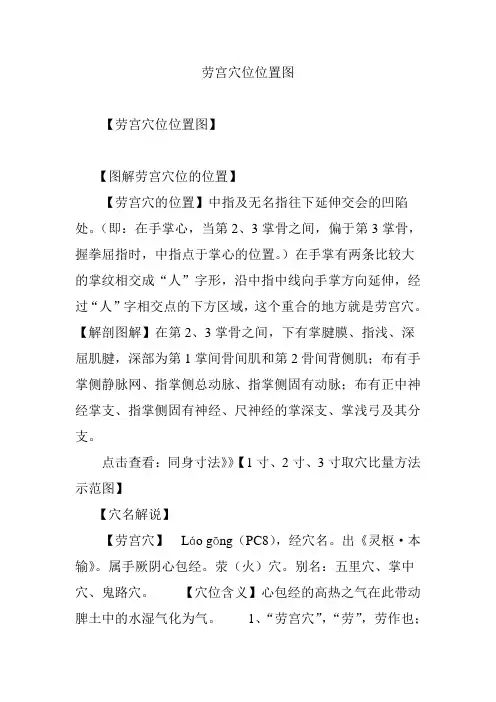 劳宫穴位位置图