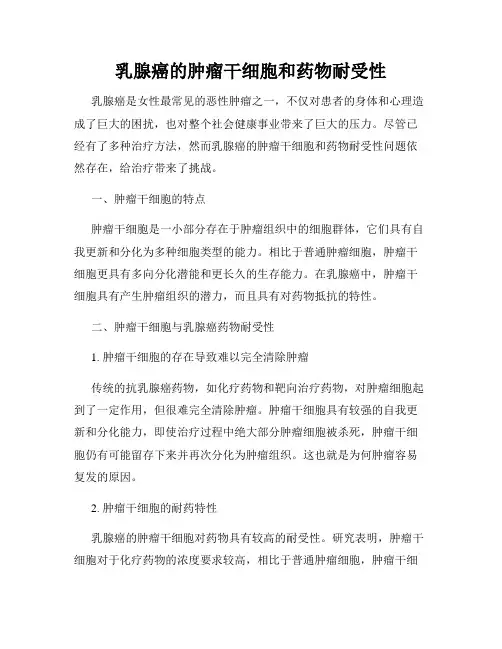 乳腺癌的肿瘤干细胞和药物耐受性