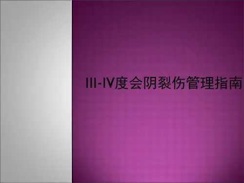 III IV度会阴裂伤管理指南