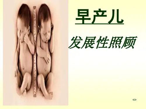 早产儿的发展性护理ppt课件