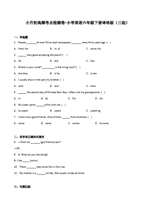 小升初高频考点检测卷-小学英语六年级下册译林版(三起)