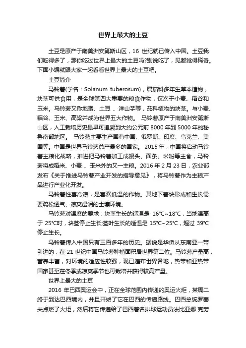 世界上最大的土豆