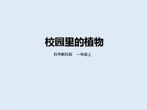 一年级上册科学课件-第一单元第六课《校园里的植物》 教科版(共22张PPT)