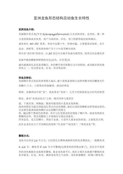 亚洲龙鱼形态结构及幼鱼生长特性