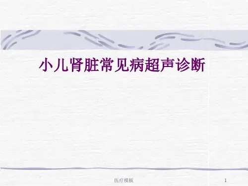 小儿肾脏常见病超声诊断(模板参考)
