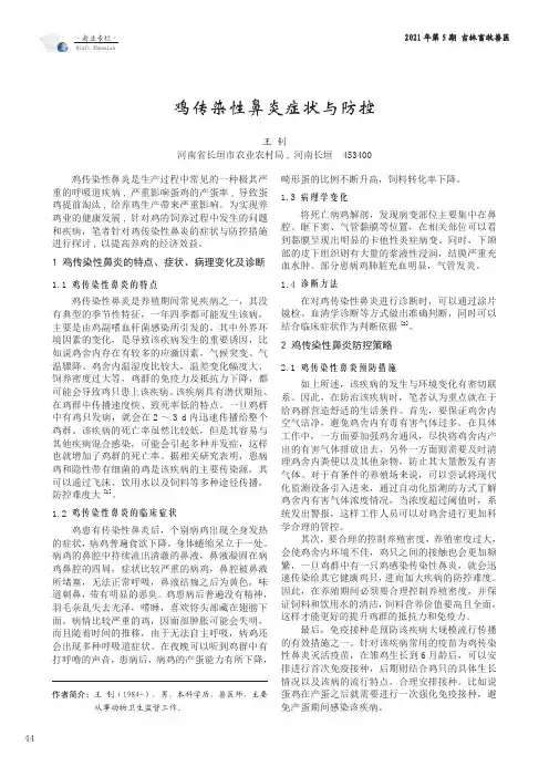 鸡传染性鼻炎症状与防控