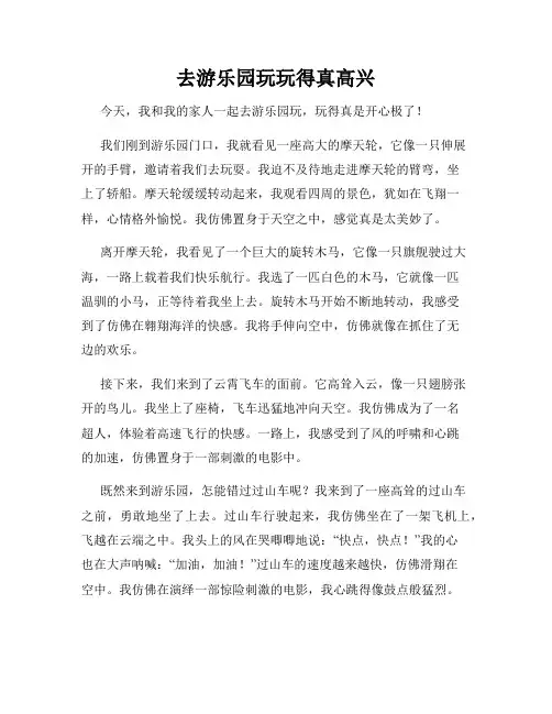 三年级作文那次玩得真高兴之去游乐园玩玩得真高兴