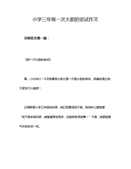 小学三年级一次大胆的尝试作文