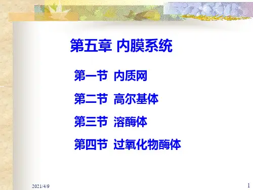 细胞生物学-第五章-内膜系统