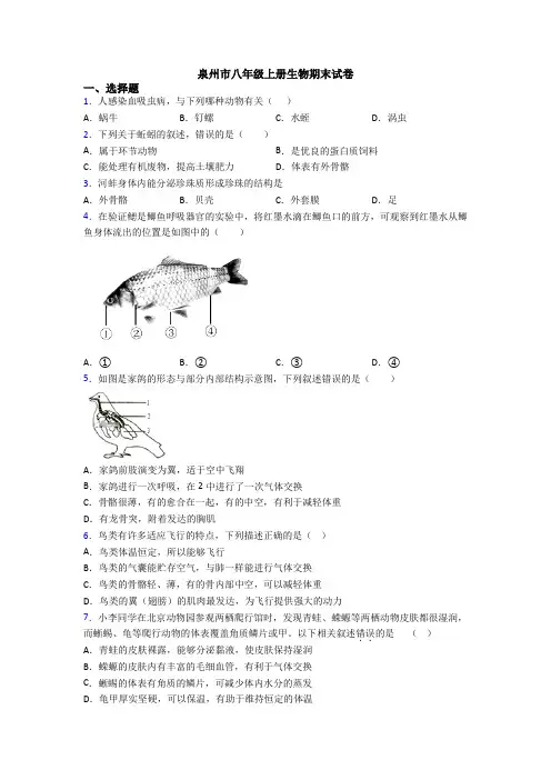 泉州市八年级上册生物期末试卷