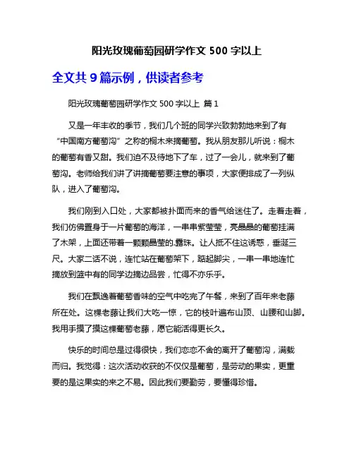 阳光玫瑰葡萄园研学作文500字以上