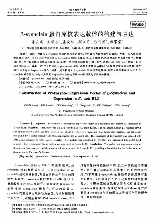 β-synuclein蛋白原核表达载体的构建与表达