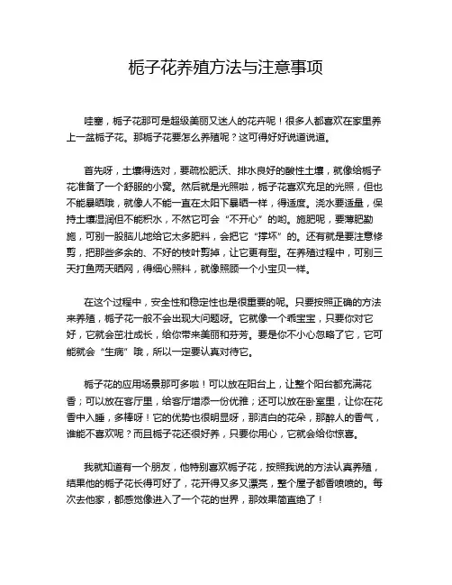 栀子花养殖方法与注意事项