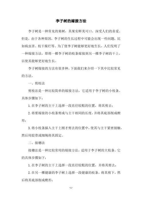 李子树的嫁接方法