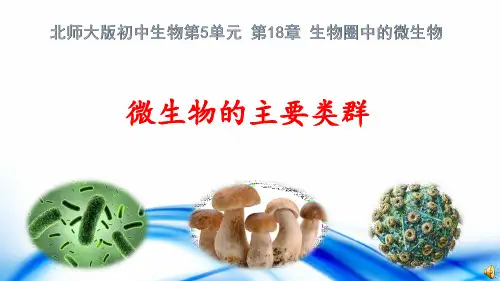 微课：微生物的主要类群