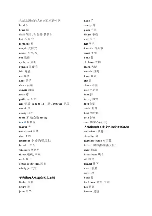 人体部位的英文词汇