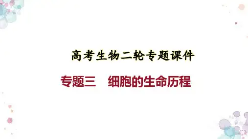 高考生物二轮专题课件：专题三 细胞的生命历程