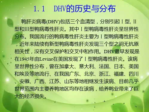 新型鸭病毒性肝炎病毒PPT课件