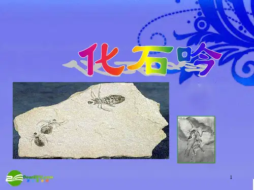 七年级语文上册化石吟优秀实用课件人教新课标版