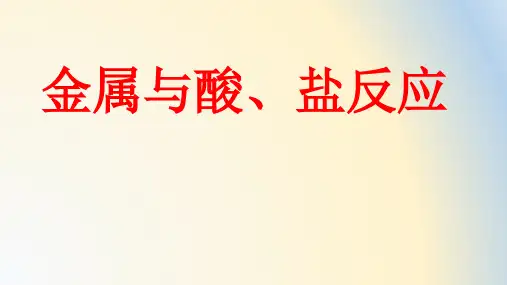 中考化学专题复习金属与酸、盐反应