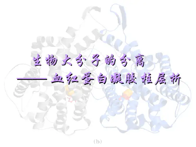 血红蛋白凝胶过滤