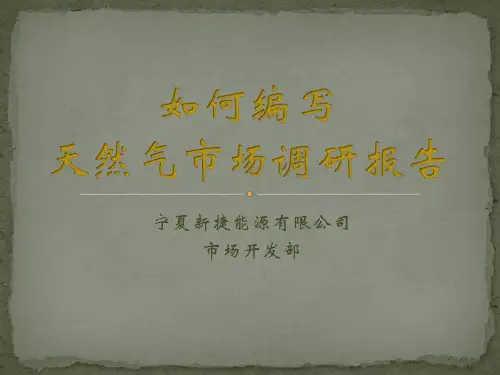 天然气市场调查报告的写作