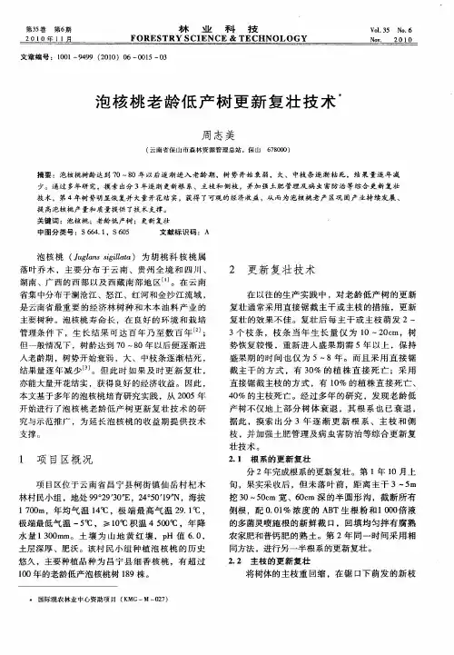 泡核桃老龄低产树更新复壮技术