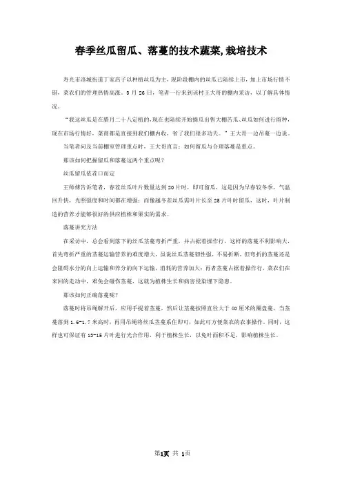 春季丝瓜留瓜落蔓的技术蔬菜,栽培技术