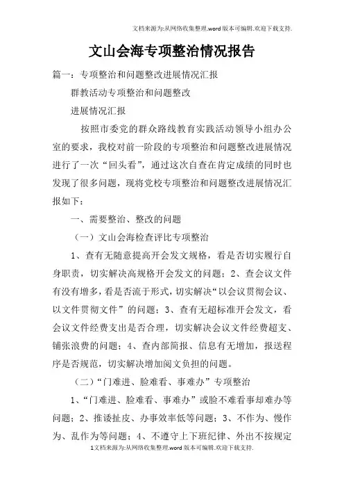 文山会海专项整治情况报告