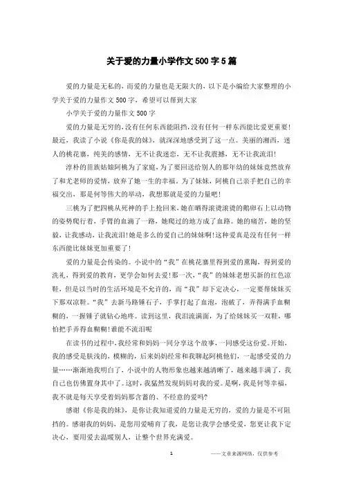 关于爱的力量小学作文500字5篇
