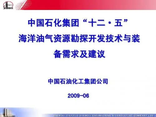 十二五海洋座谈会-中石化200906-1
