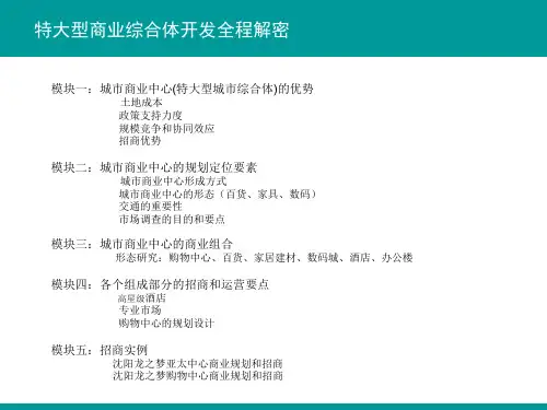 特大型城市综合体开发全程PPT课件