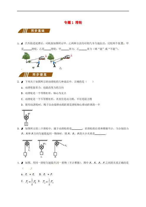 江苏省大丰市九年级物理上册 11.2 滑轮 专题1 滑轮课程讲义 (新版)苏科版