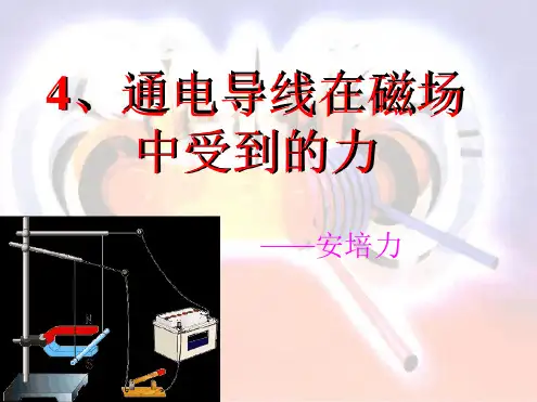 通电导体在磁场中的受力