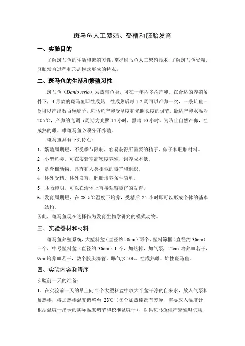 斑马鱼相关实验操作