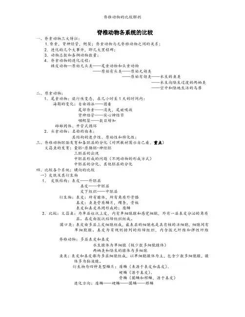 脊椎动物的比较解剖