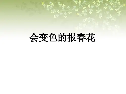 《会变色的报春花》PPT课件