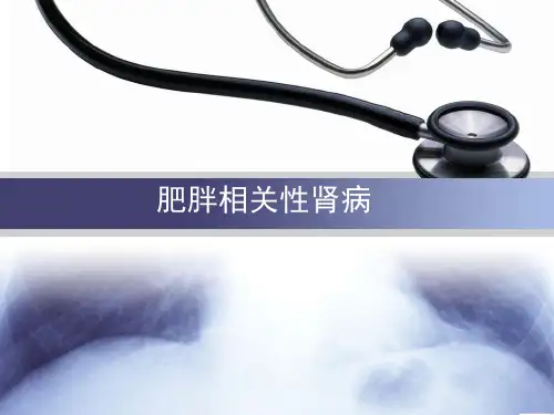 肥胖相关性肾病PPT课件
