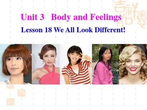 冀教版英语七上Unit 3《Lesson 18 We All Look Different》ppt