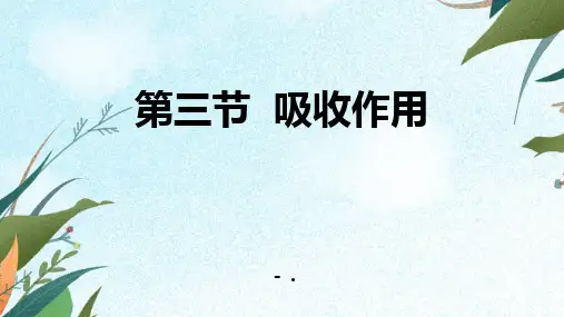 《吸收作用》PPT优质课件