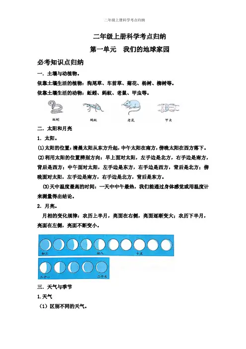 二年级上册科学考点归纳