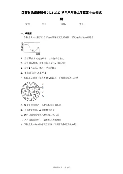 江苏省徐州市联校2021-2022学年八年级上学期期中生物试题(word版含答案)