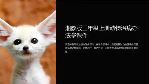 湘教版三年级上册动物治病办法多课件