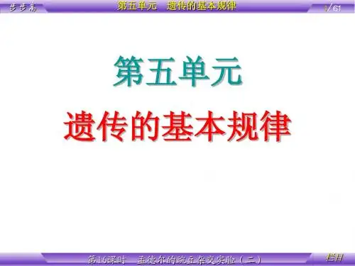 第5单元 遗传的基本规律 第16课时 孟德尔的豌豆杂交实验(二)