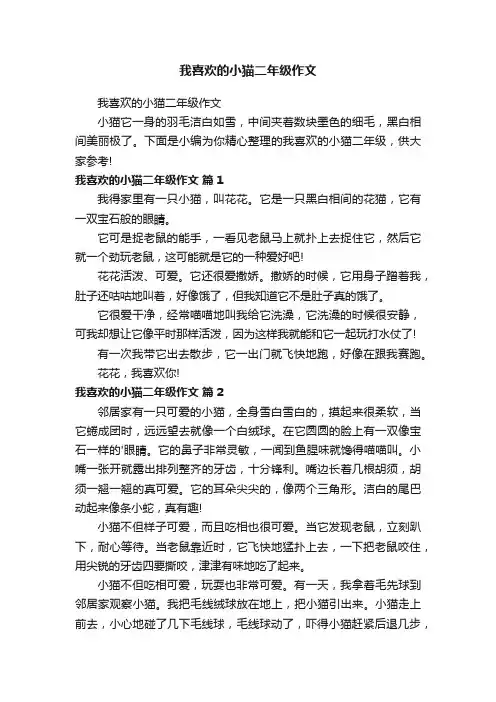 我喜欢的小猫二年级作文