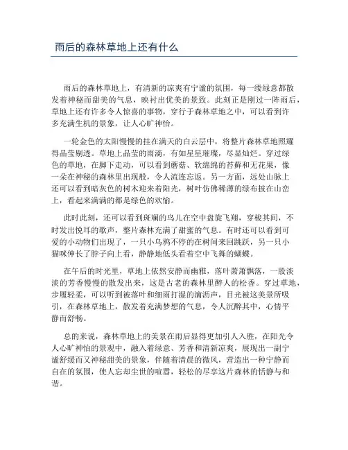 雨后的森林草地上还有什么
