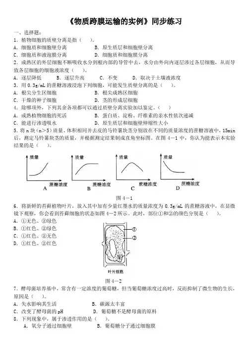跨膜运输习题 yy