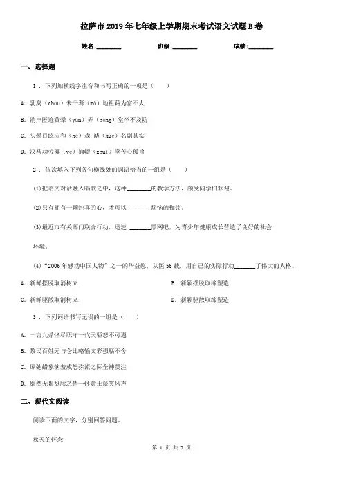 拉萨市2019年七年级上学期期末考试语文试题B卷