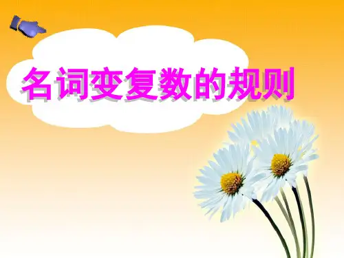 小学英语名词变复数(课堂PPT)
